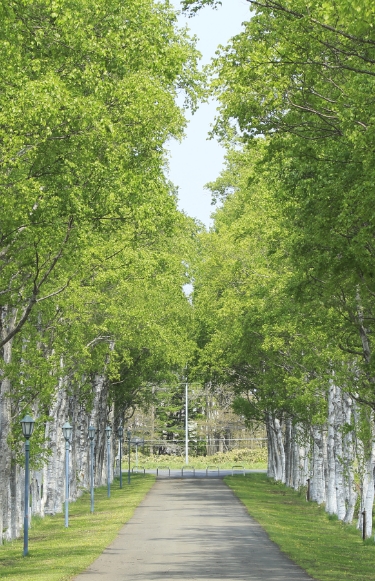 学校法人酪農学園創立100年記念寄付事業