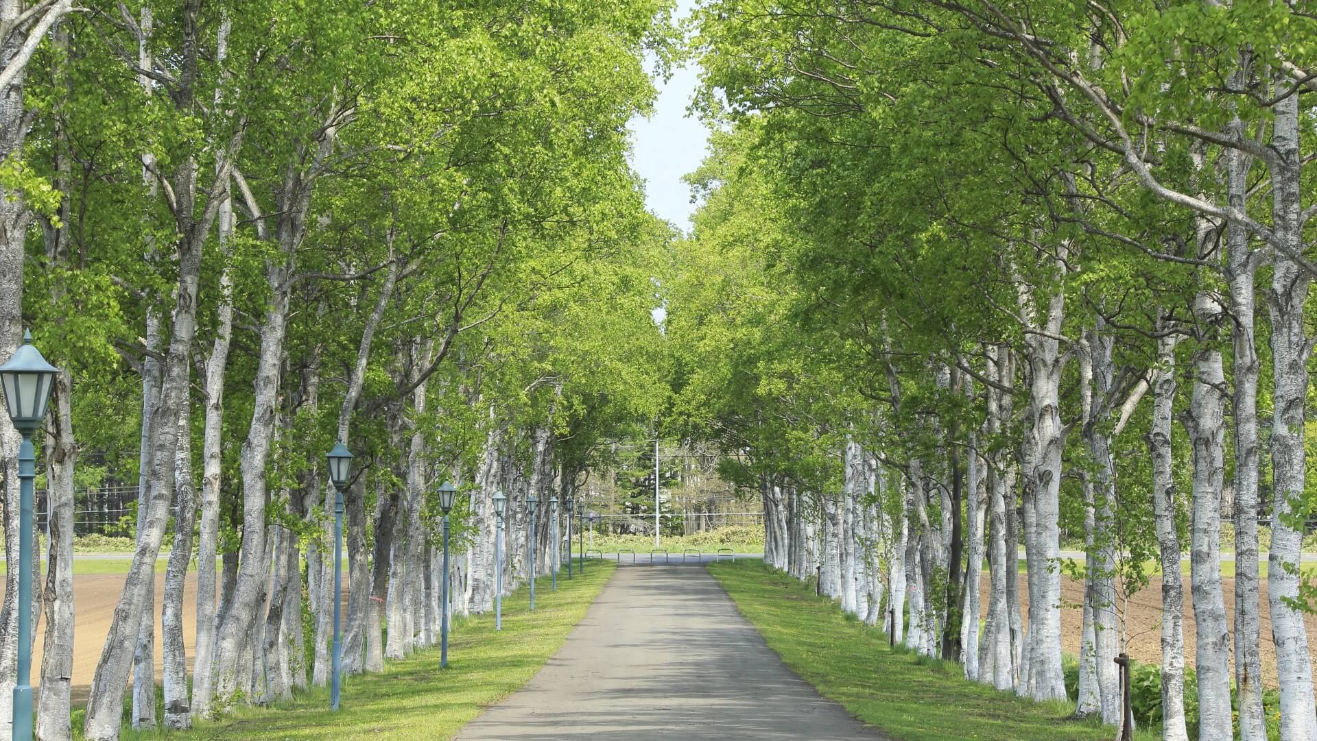 学校法人酪農学園創立100年記念寄付事業