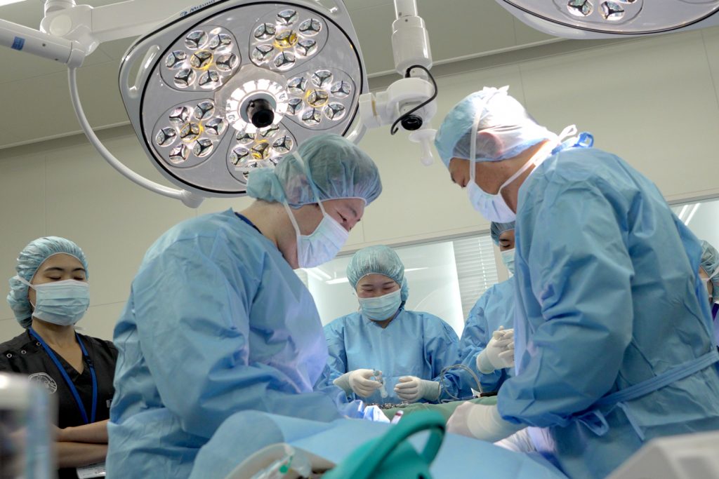 獣医学教育充実支援プロジェクト